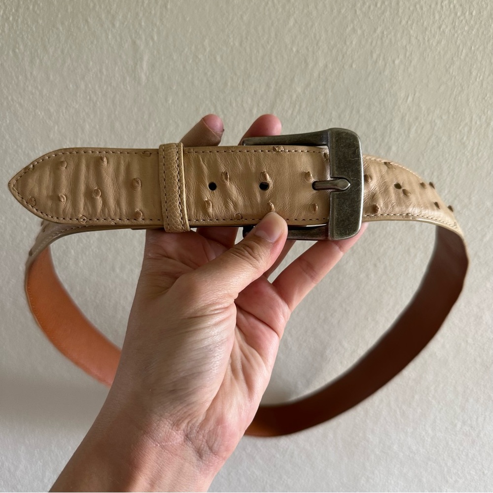 Tan Leather Belt with Brass Buckle and Textured Finish Ostrich Skin